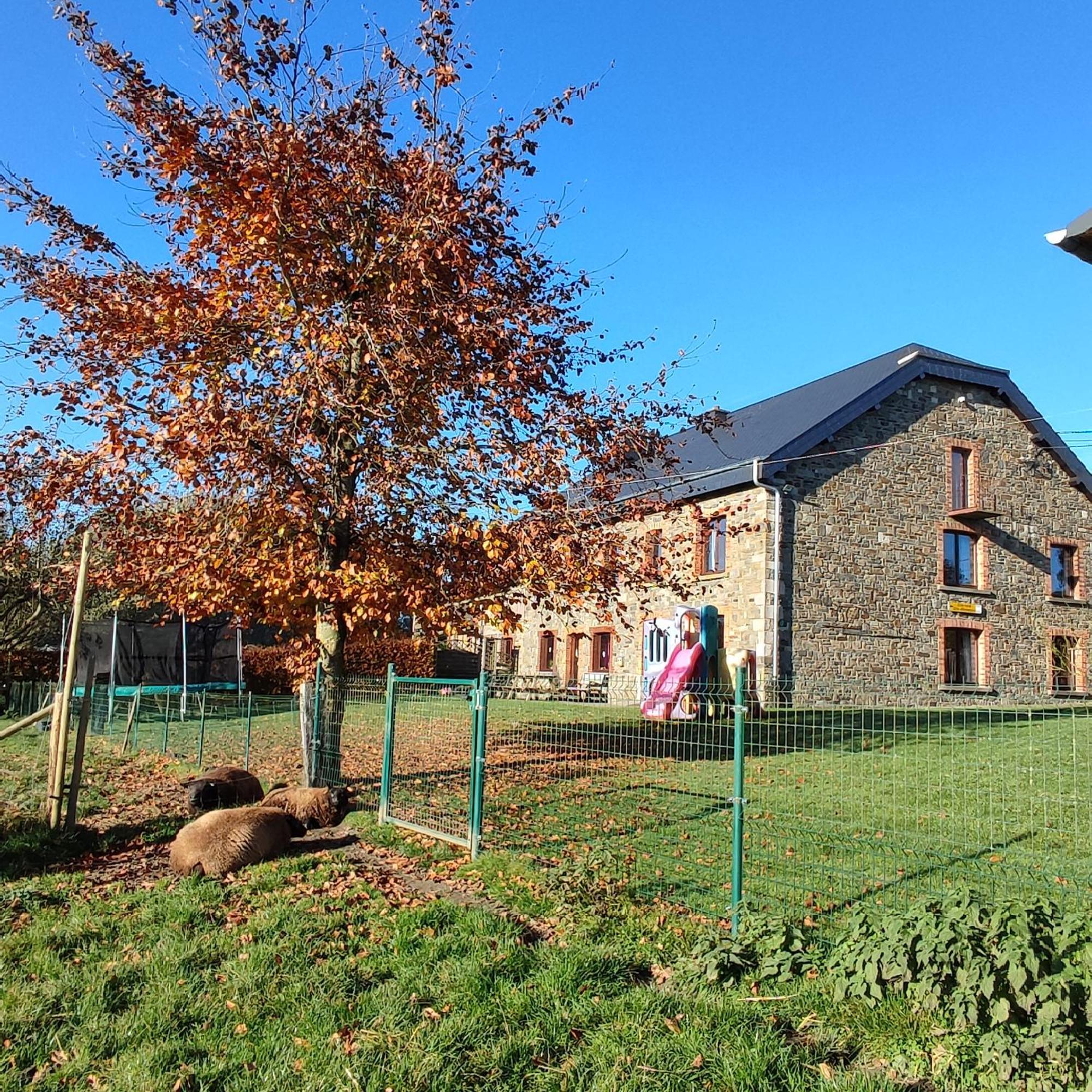 Bastogne Maison De Avec Sauna Casa vacanze *